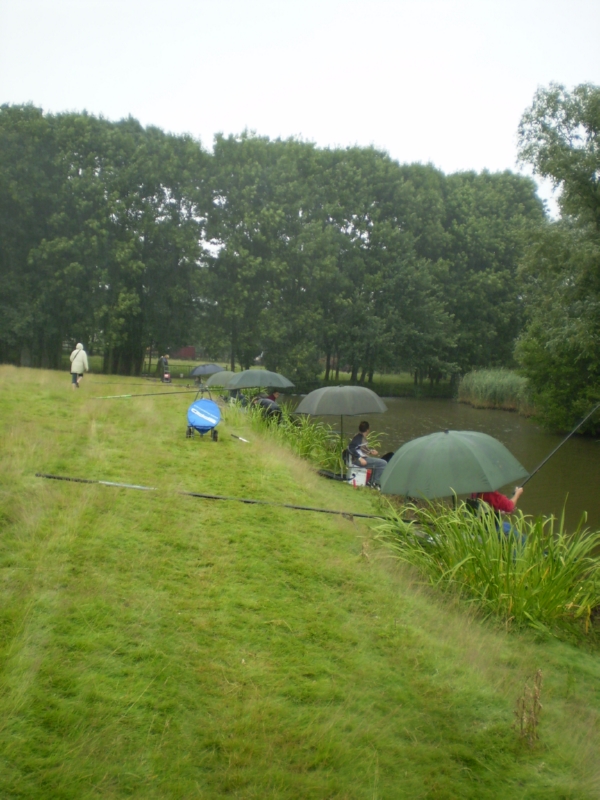Lith 2008 (2)